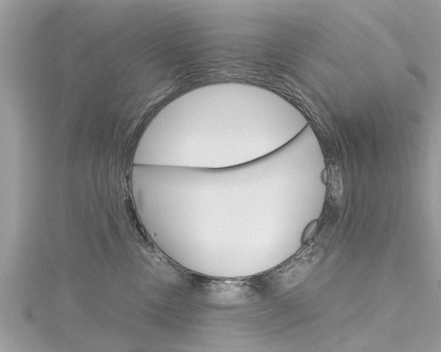 X0000116120378200911230936