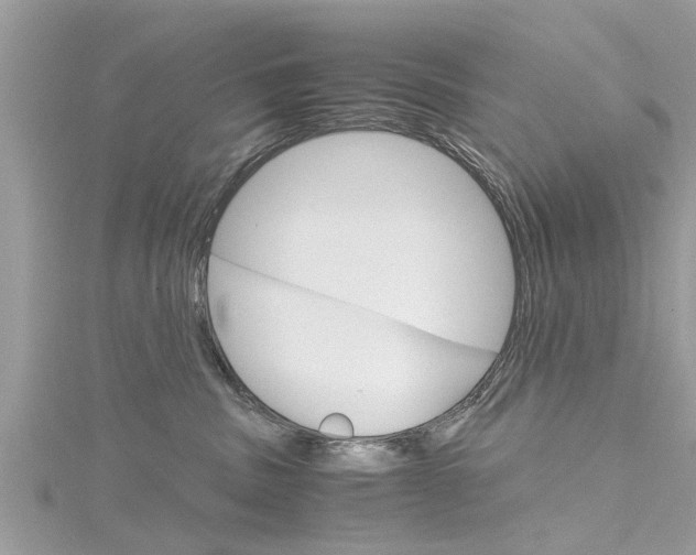 X0000116120379200911230936