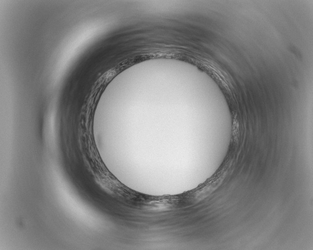 X0000116120381200911230936