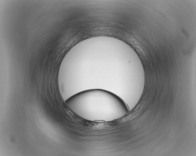 X0000116120382200911230936