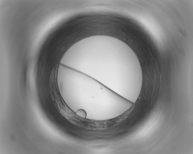 X0000116120383200911230936