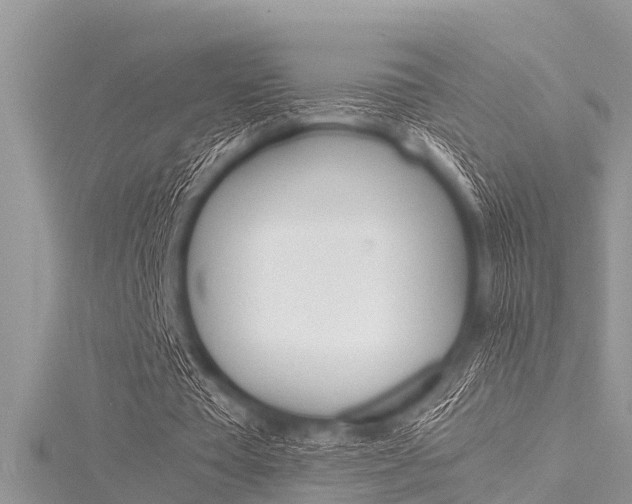 X0000116120385200911230935