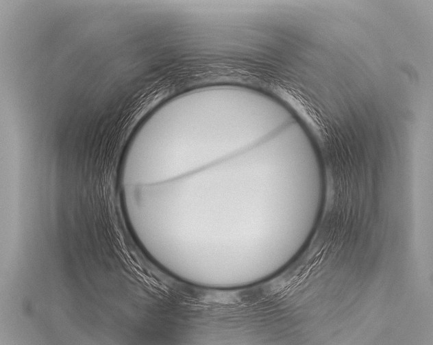 X0000116120386200911230935