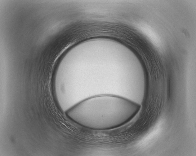 X0000116120387200911230935