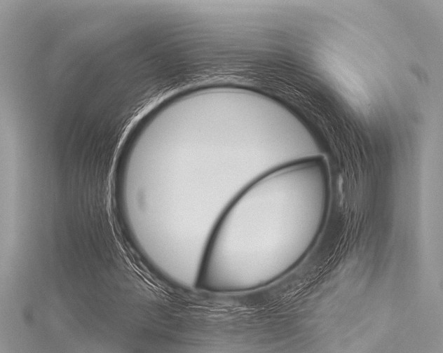 X0000116120388200911230935