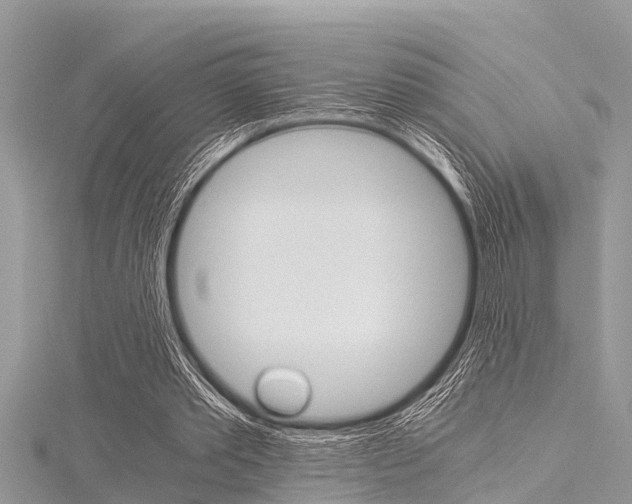 X0000116120389200911230935