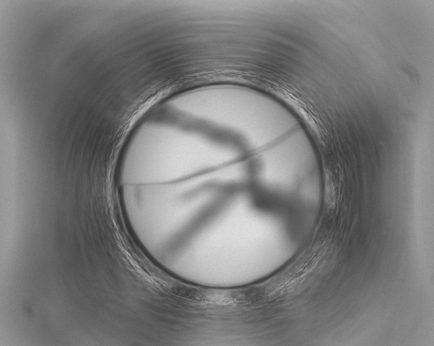 X0000116120390200911230935