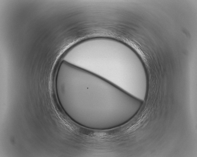 X0000116120391200911230935