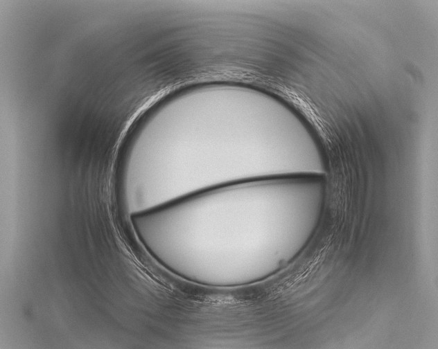 X0000116120392200911230935