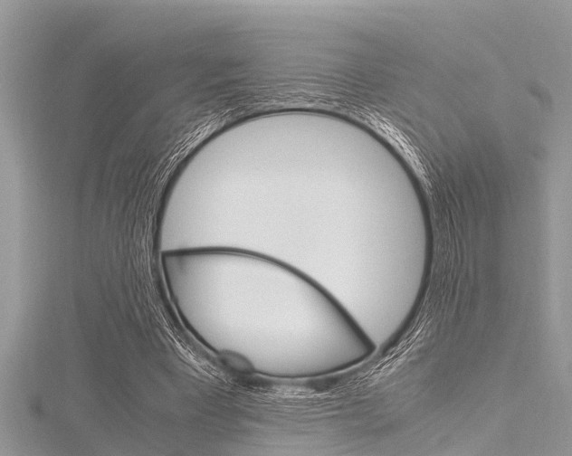 X0000116120393200911230935