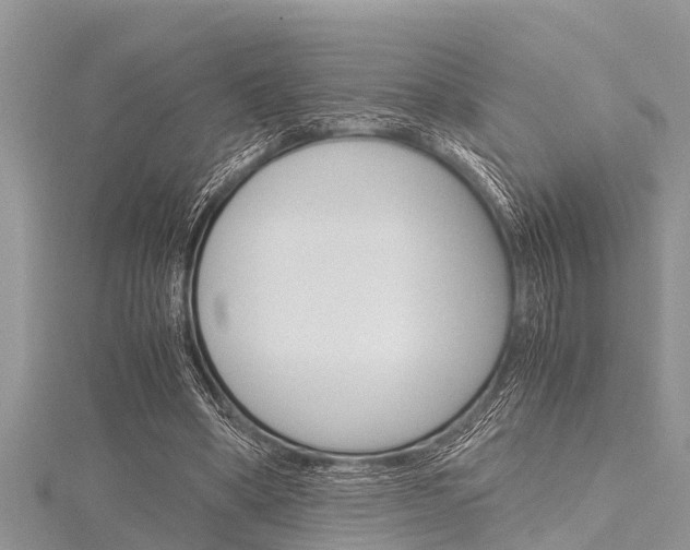 X0000116120394200911230935