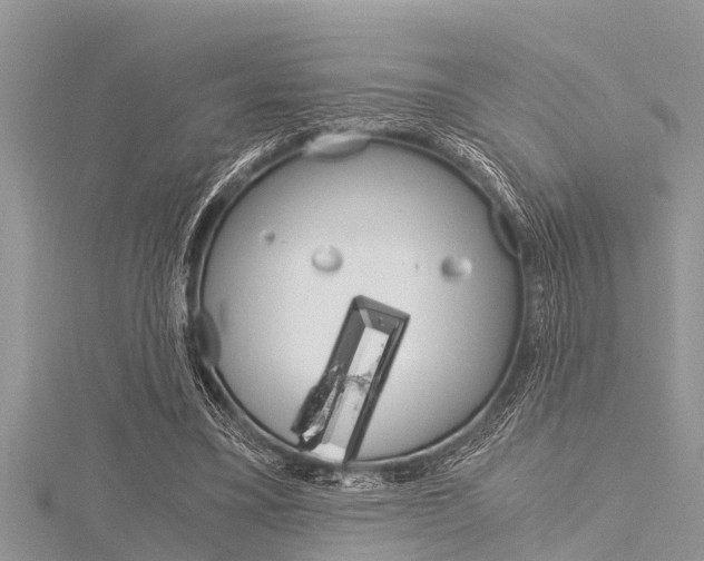 X0000116120395200911230935