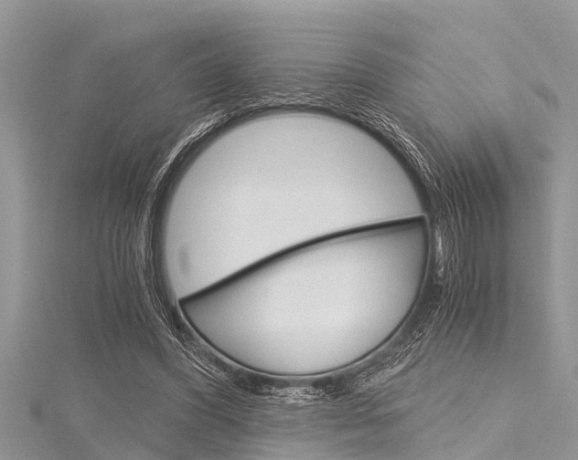 X0000116120396200911230935