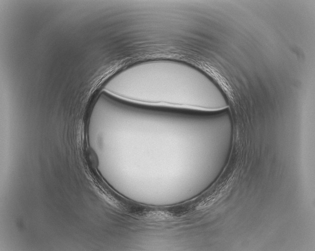 X0000116120397200911230935