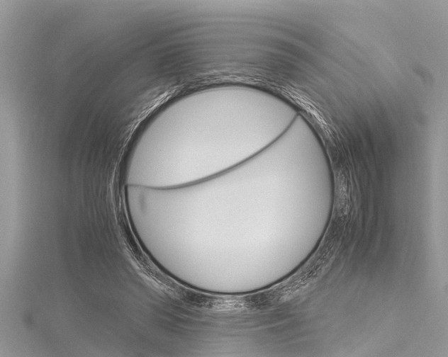 X0000116120398200911230935