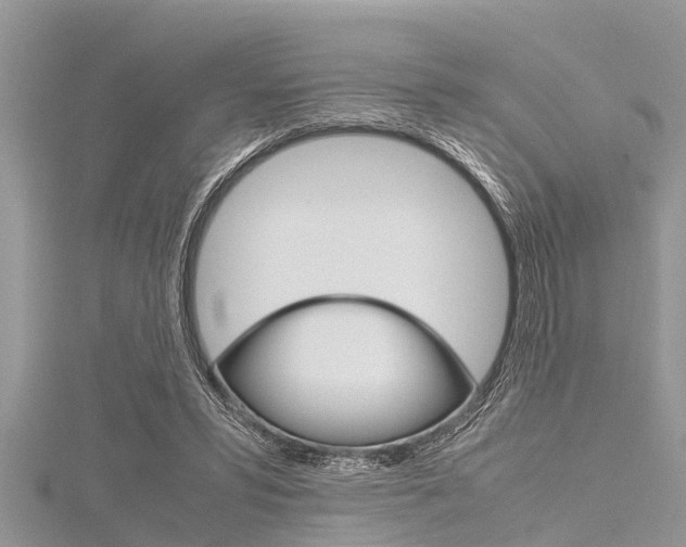 X0000116120399200911230935