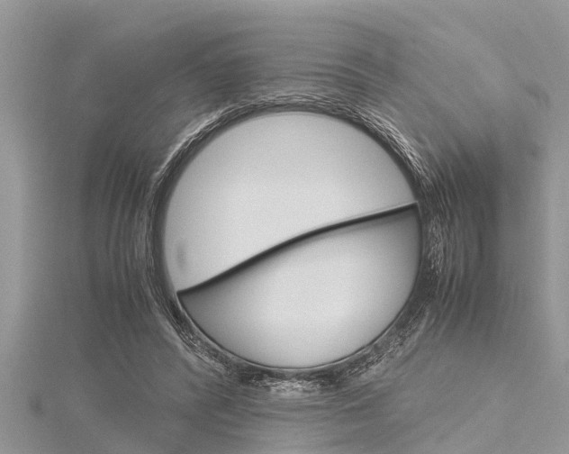 X0000116120400200911230935