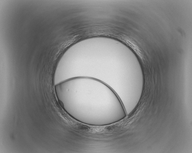 X0000116120401200911230935