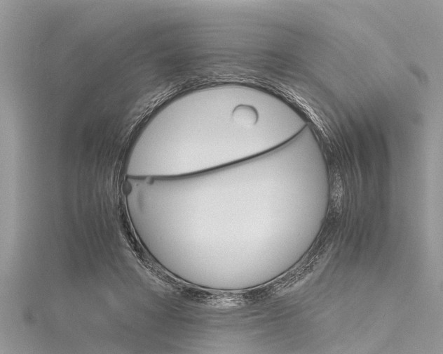 X0000116120402200911230935