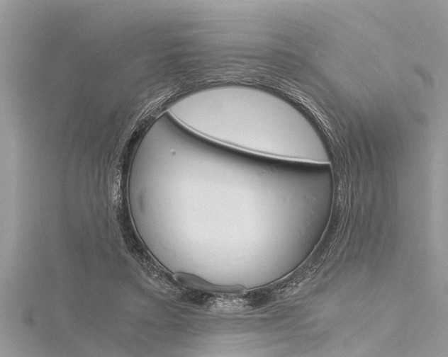 X0000116120403200911230935