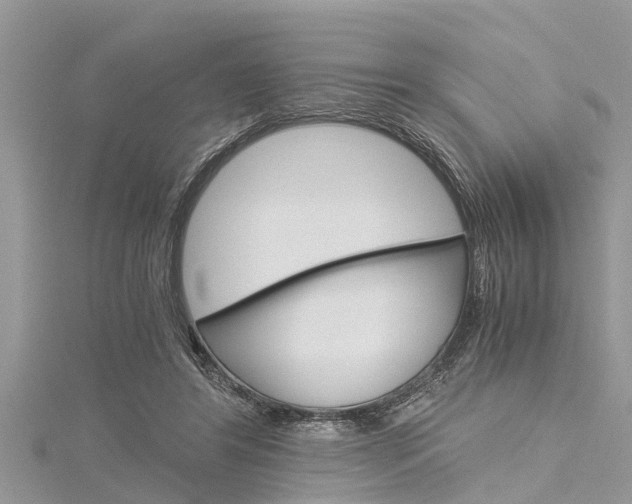 X0000116120404200911230935