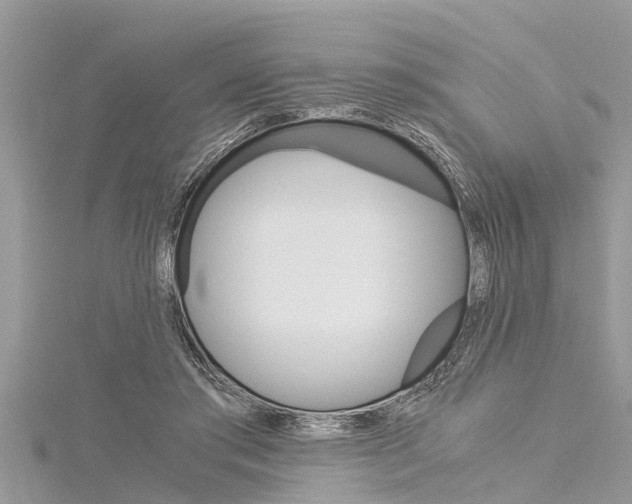 X0000116120405200911230935