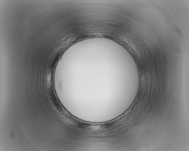 X0000116120406200911230935