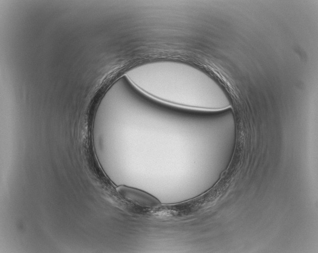 X0000116120407200911230935