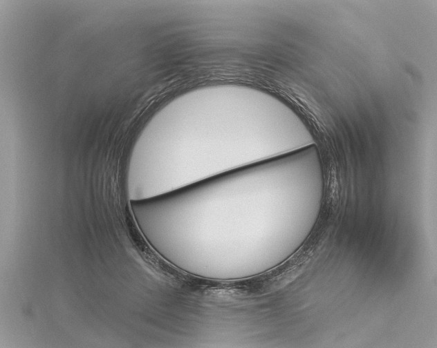 X0000116120408200911230935