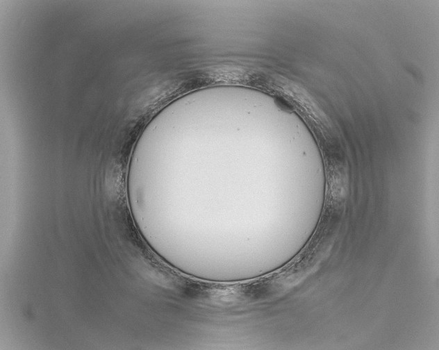 X0000116120411200911230935