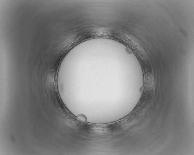 X0000116120415200911230935