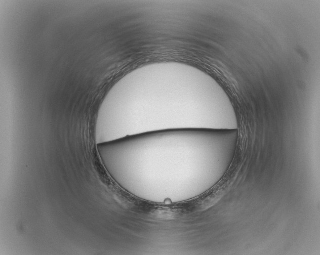 X0000116120416200911230935