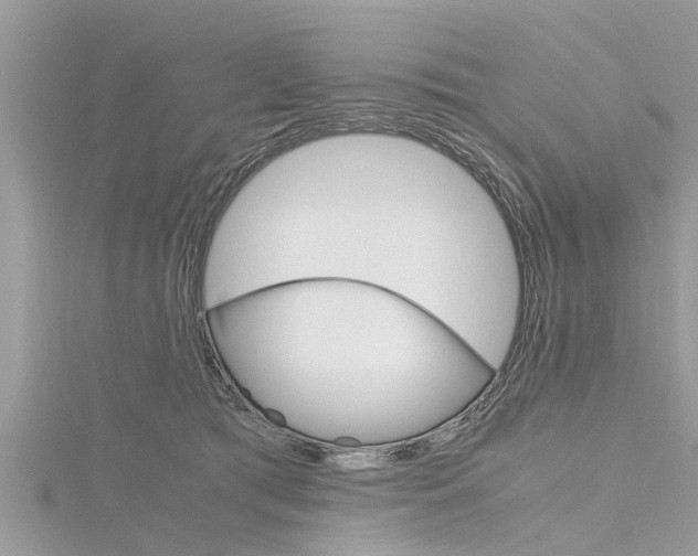 X0000116120417200911230935