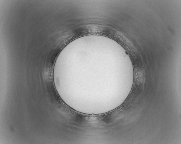 X0000116120419200911230935