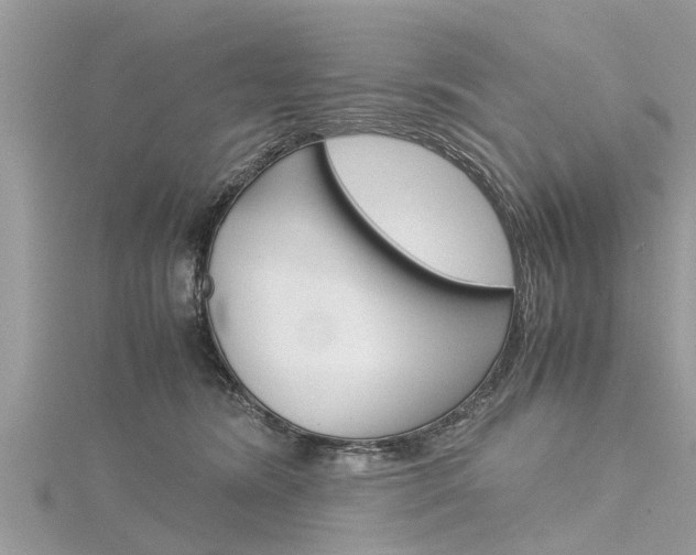 X0000116120420200911230935