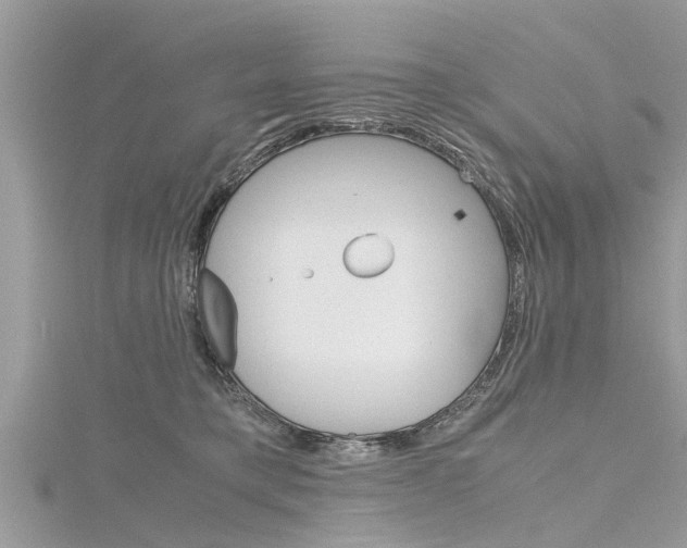 X0000116120421200911230935