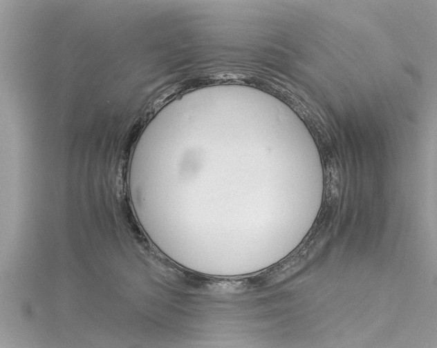 X0000116120422200911230935