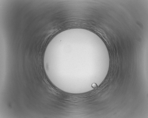 X0000116120423200911230935