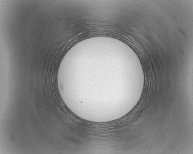 X0000116120425200911230935