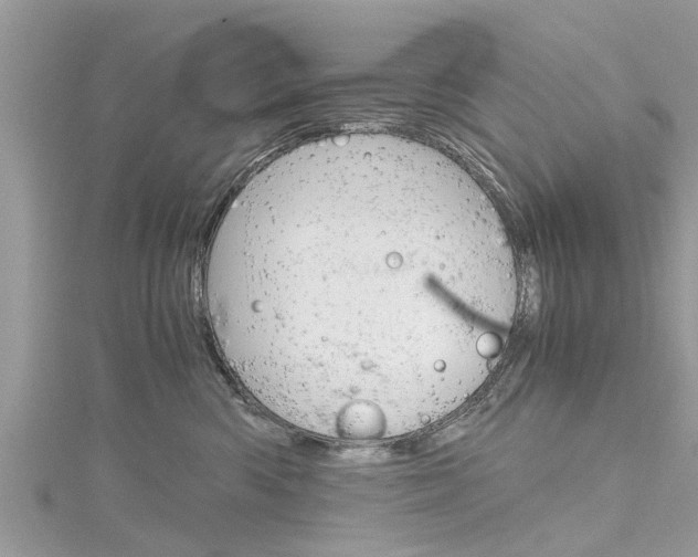 X0000116120426200911230935