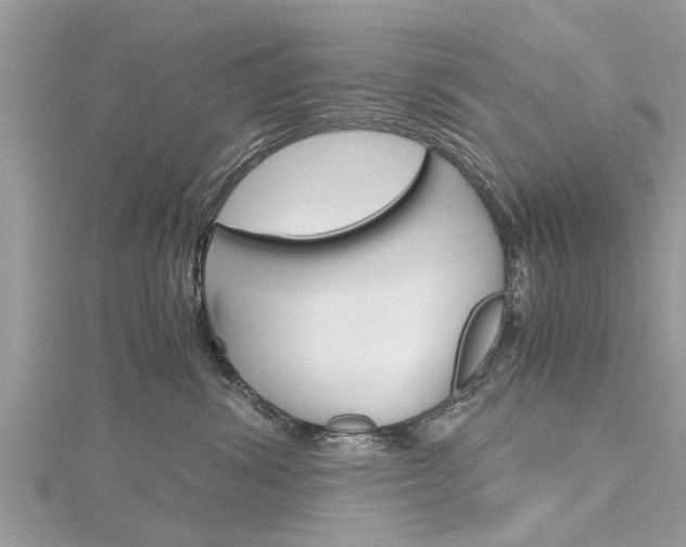 X0000116120428200911230935