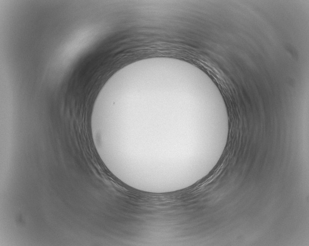 X0000116120429200911230935