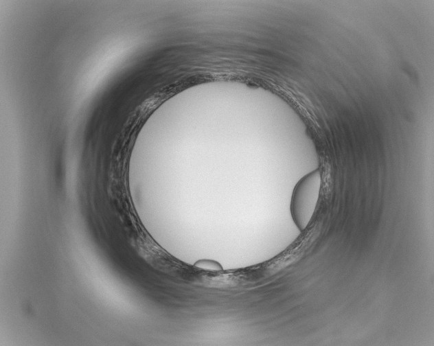 X0000116120430200911230935