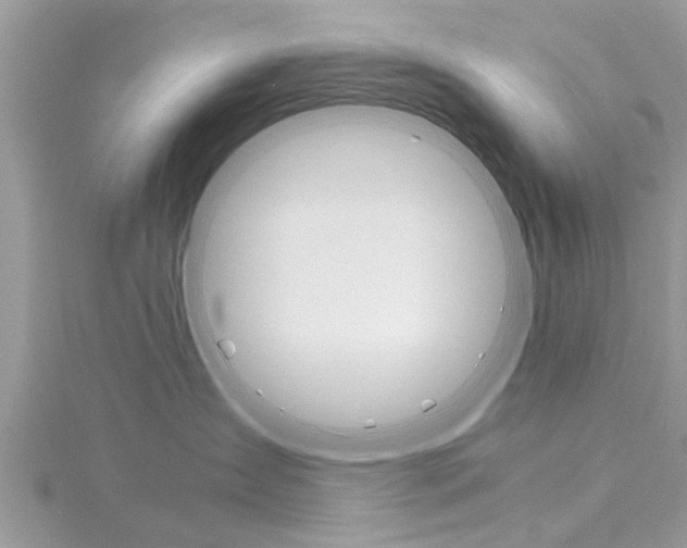 X0000116120431200911230935