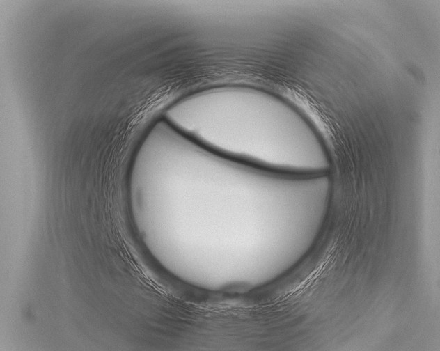 X0000116120433200911230934