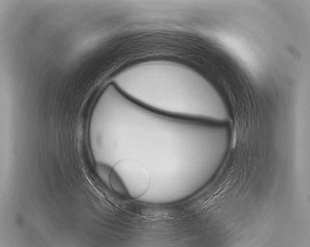 X0000116120435200911230934