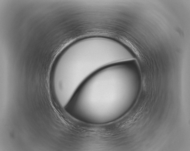 X0000116120436200911230934