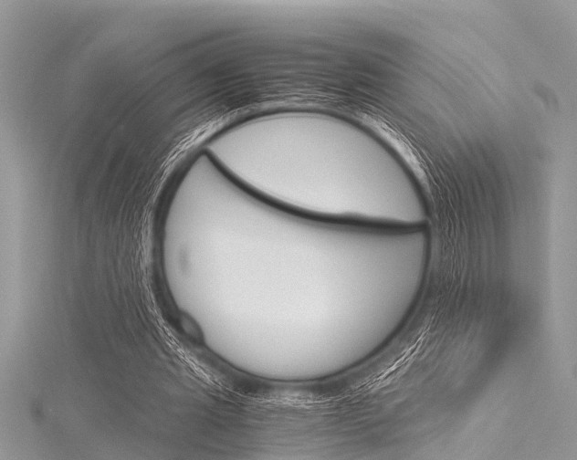 X0000116120437200911230934