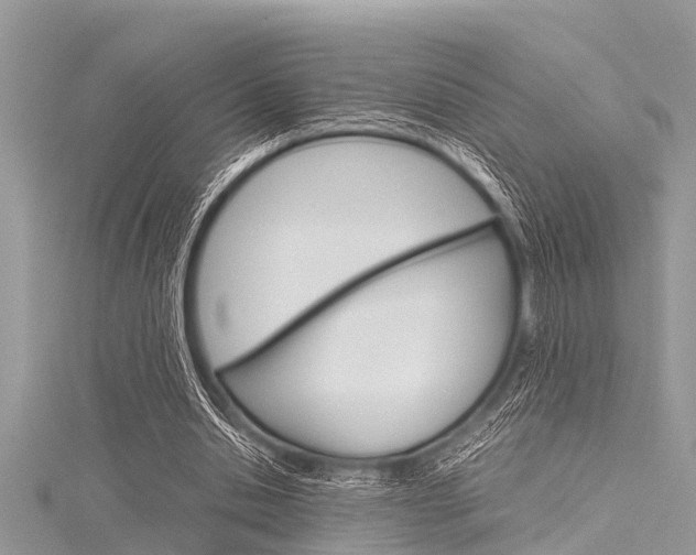 X0000116120438200911230934