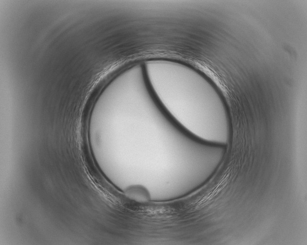 X0000116120439200911230934